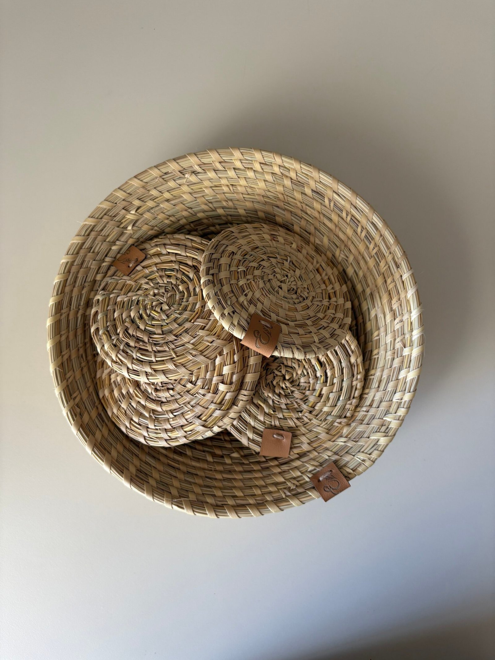 Panera - Imagen 3